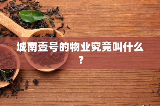 城南壹号的物业究竟叫什么？