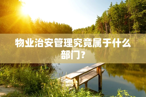 物业治安管理究竟属于什么部门？